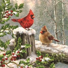 Схема вышивки «Winter cardinals»