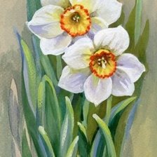 Схема вышивки «narcyzy»