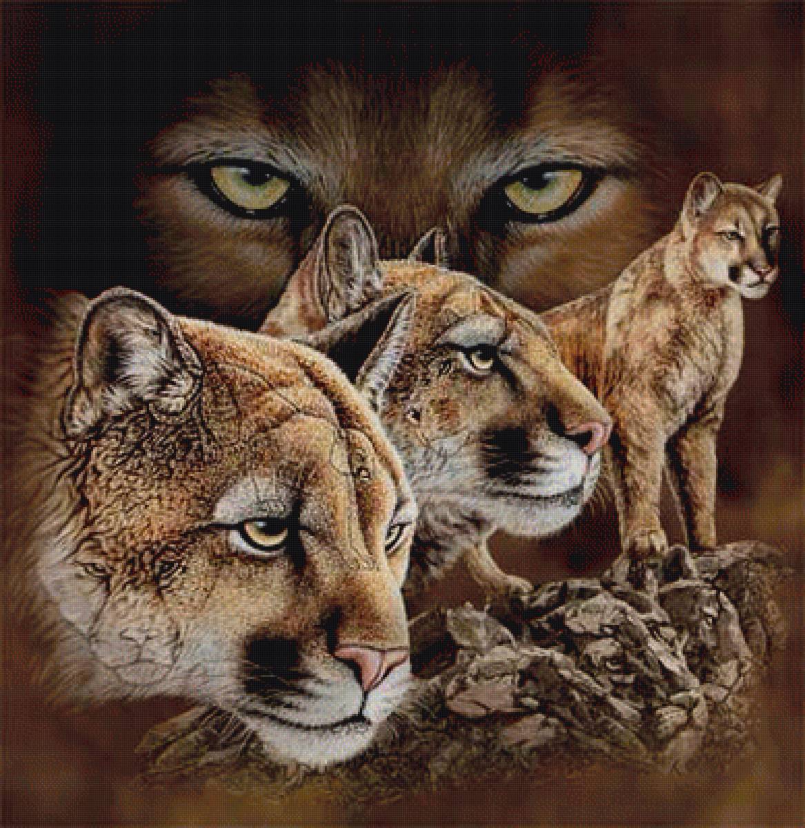 КРАСИВЫЕ И ОПАСНЫЕ - предпросмотр