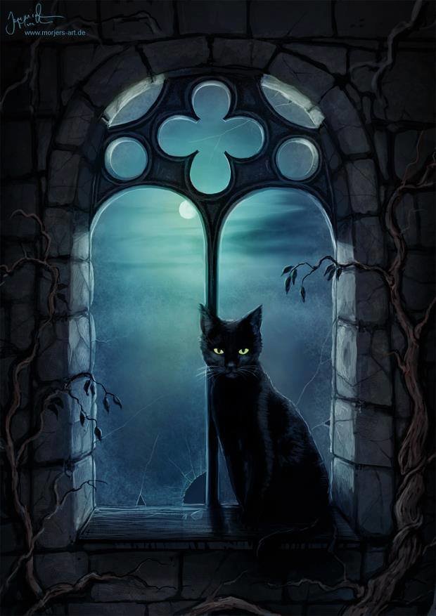 Кот в окне - окно, кот, ночь - оригинал