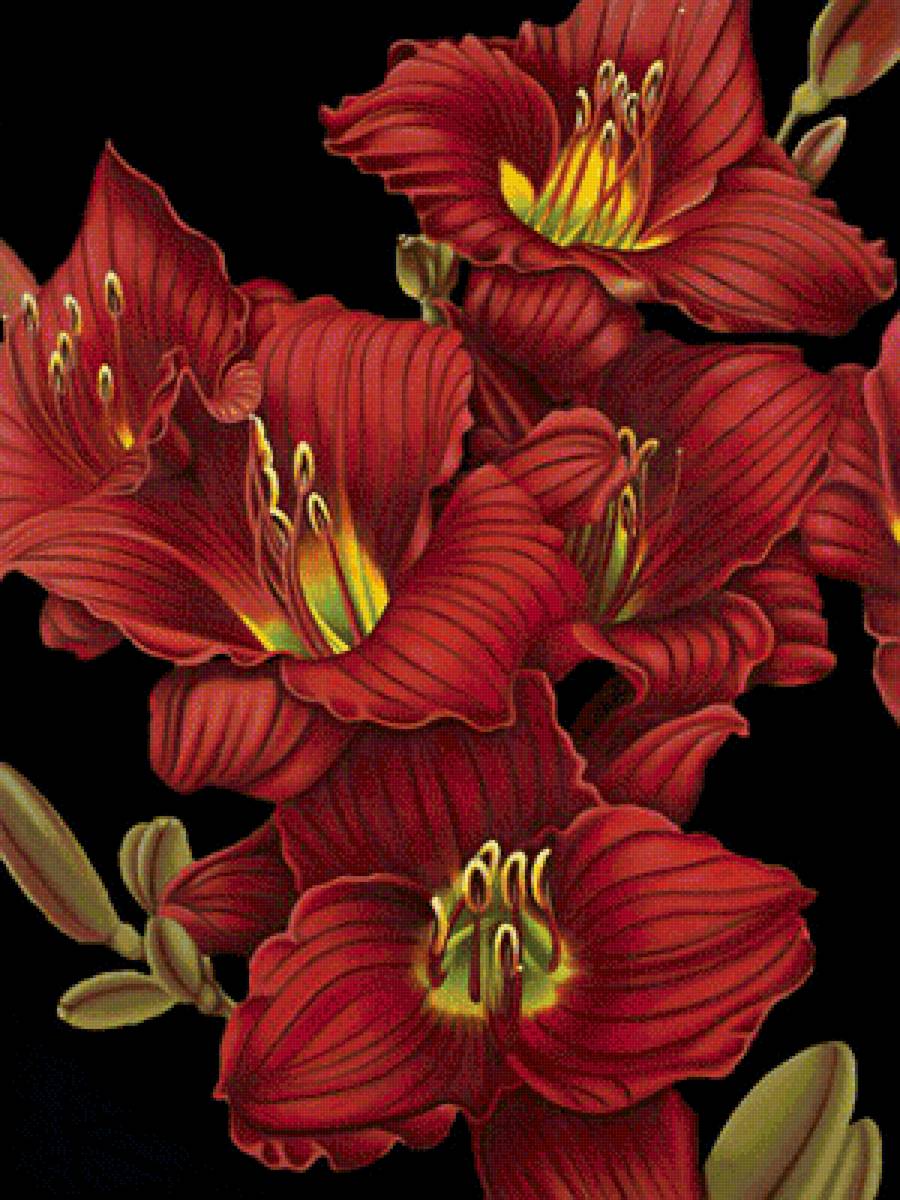 Красные цветы - цветы, на черном - предпросмотр