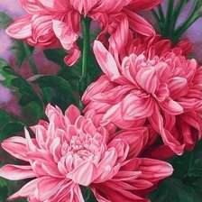 Схема вышивки «хризантемы»