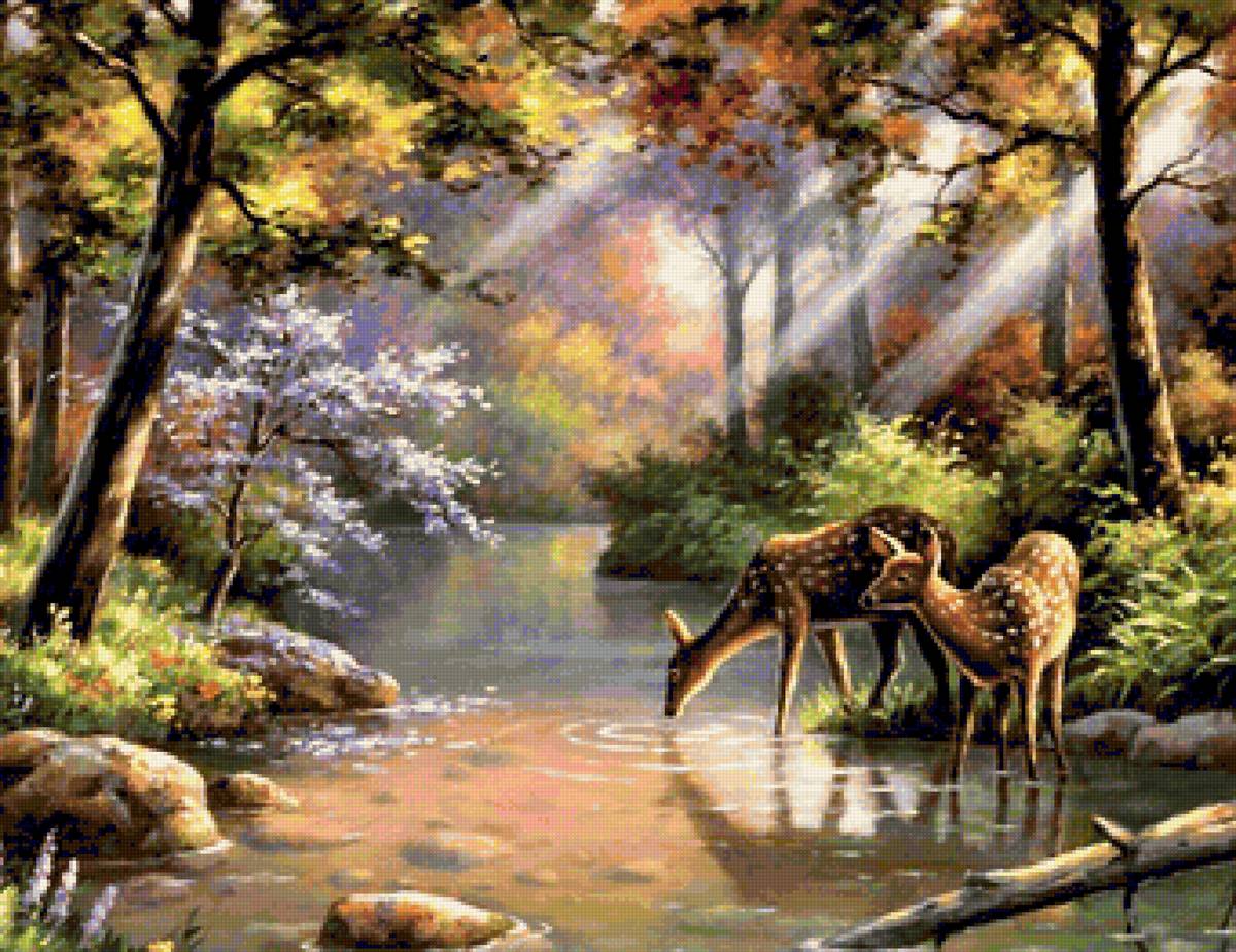 Creek 2 - предпросмотр