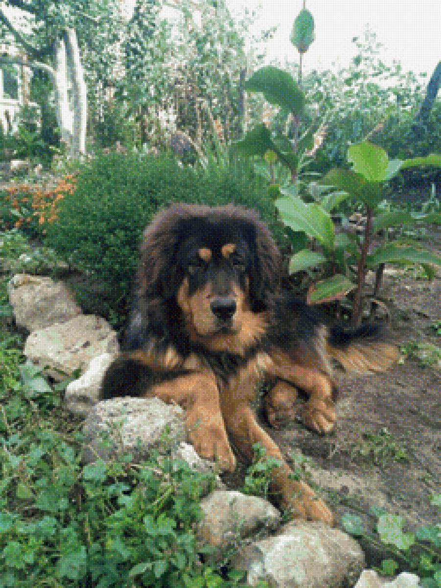 Демир - предпросмотр