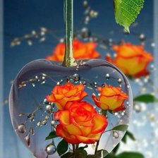 Схема вышивки «розы»