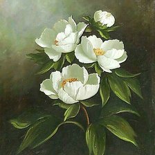 Схема вышивки «Цветы.»