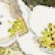Предпросмотр схемы вышивки «Натюрморт.» (№1747201)