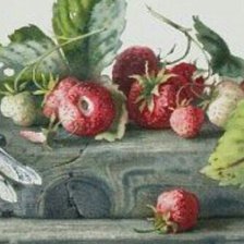 Схема вышивки «№1747524»