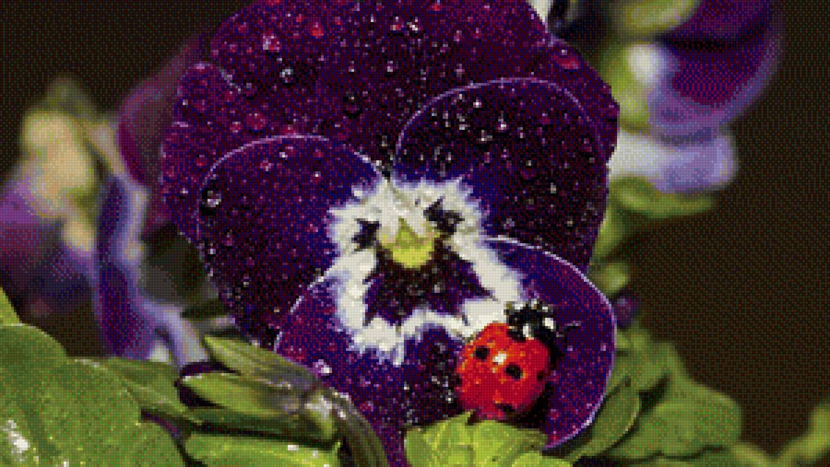 цветочек - предпросмотр