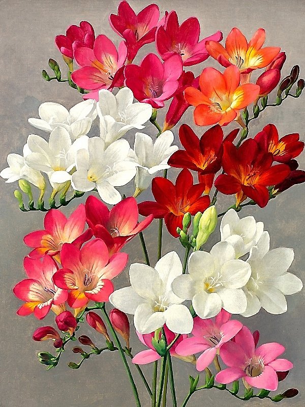 цветы - цветы - оригинал