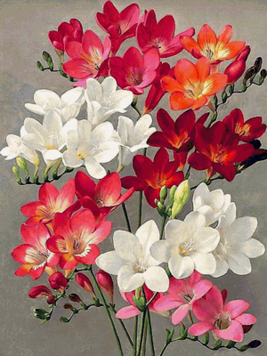 цветы - цветы - предпросмотр