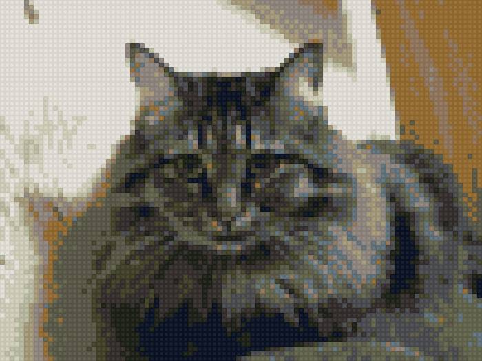 Кошка Шняжка - животный, кошки - предпросмотр