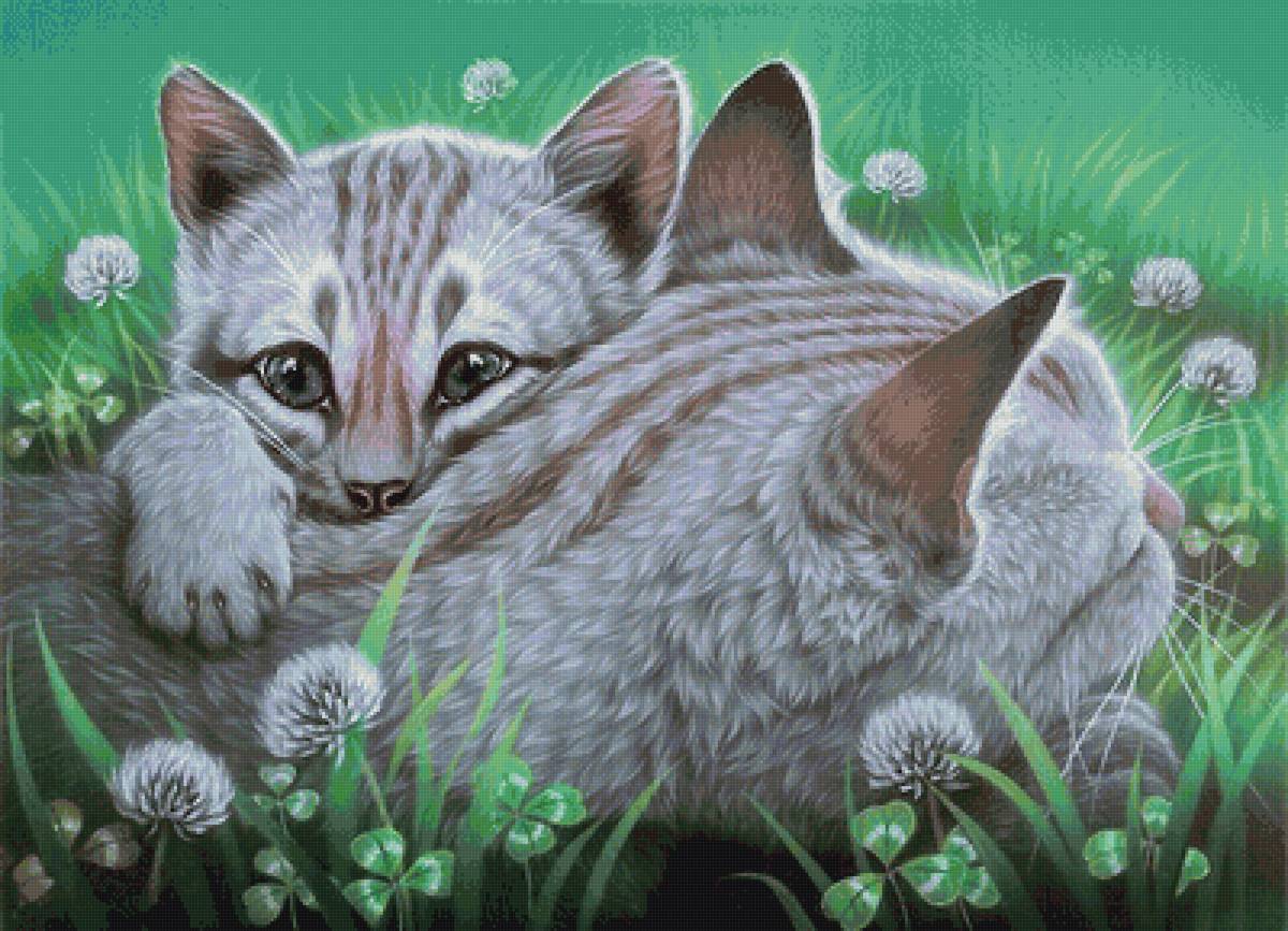 мир животных - мир животных - предпросмотр