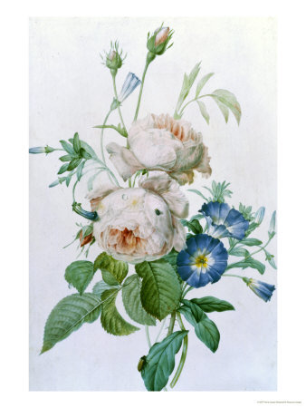 Винтажные розы - розы, винтаж - оригинал