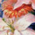 Предпросмотр схемы вышивки «okno,kvety» (№1748430)