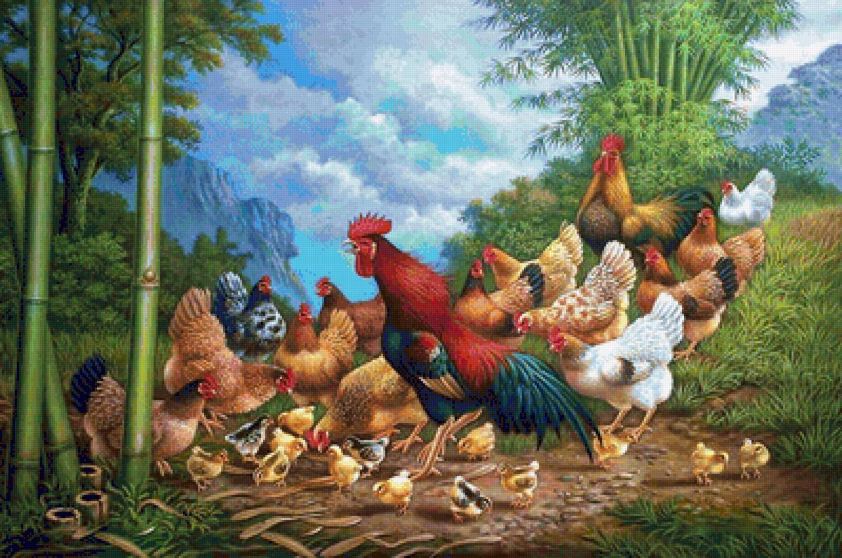 Семейка - цыплята, горы, курочки, петух - предпросмотр