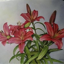 Схема вышивки «лилии»