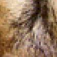 Предпросмотр схемы вышивки «ВОЛК» (№1748997)