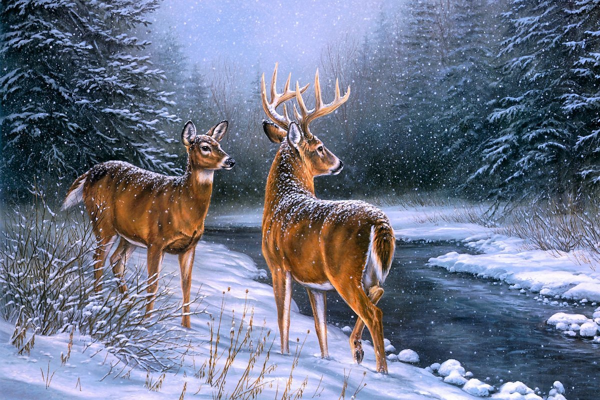 Deer in the snow - оригинал