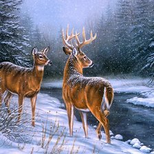 Схема вышивки «Deer in the snow»