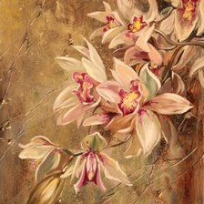 Оригинал схемы вышивки «Rychkov orchids 3» (№1749304)
