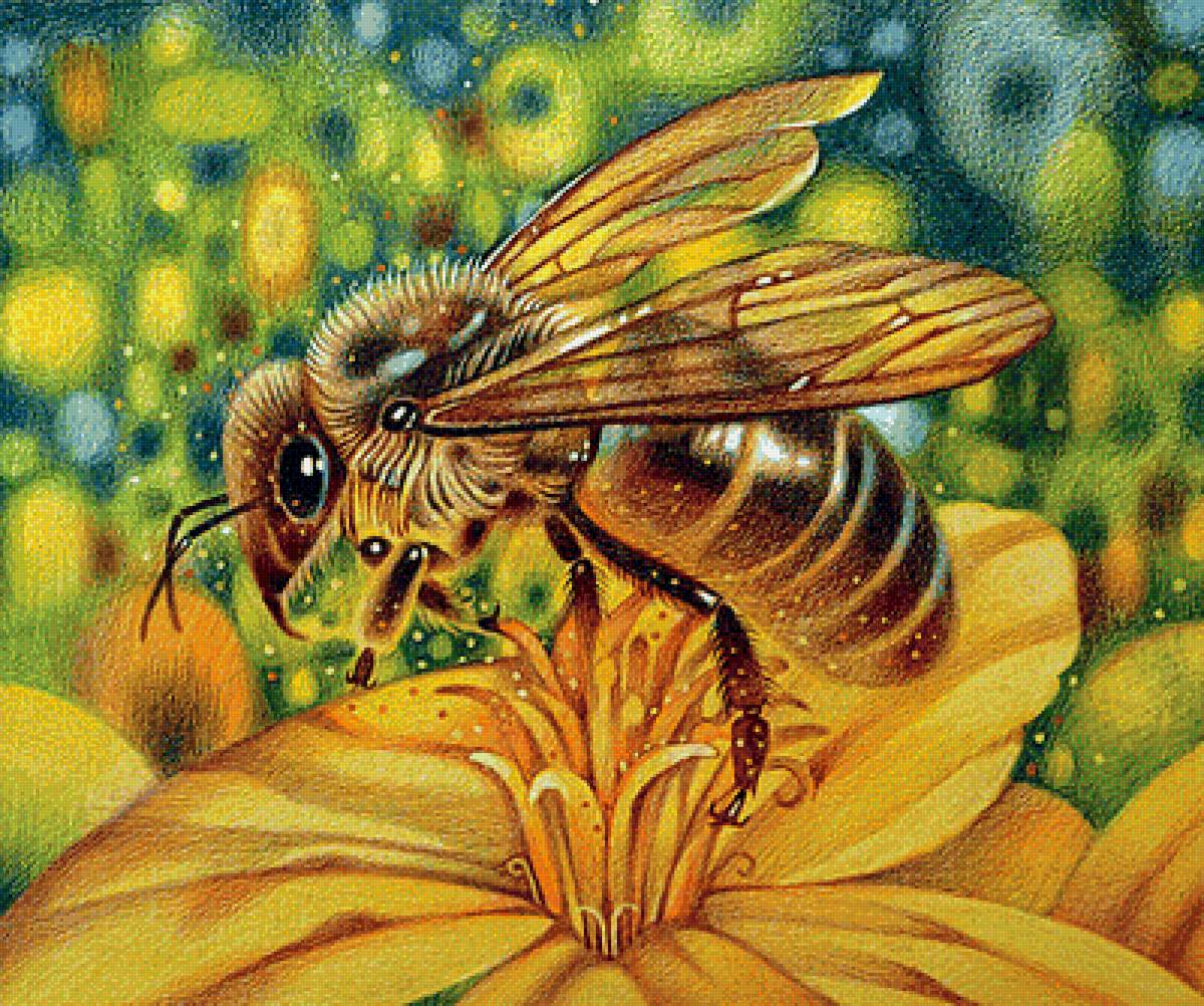Пчела на цветке - цветок, пчела - предпросмотр