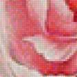 Предпросмотр схемы вышивки «розовые пионы» (№1749582)
