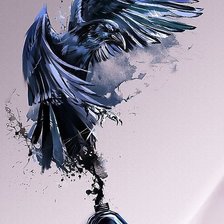 Схема вышивки «Raven»