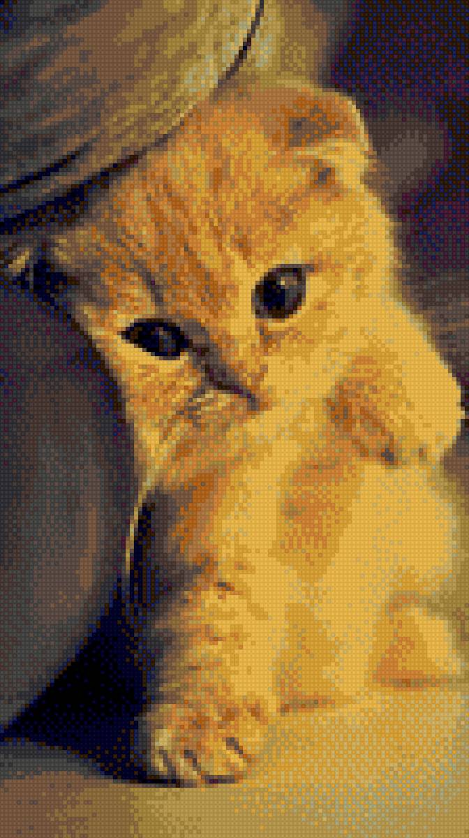 Котенок - милая, кошка, котенок - предпросмотр