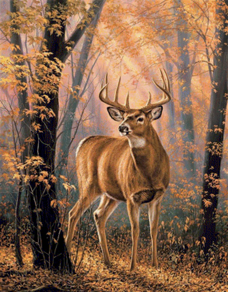 Fall forest 3 - предпросмотр