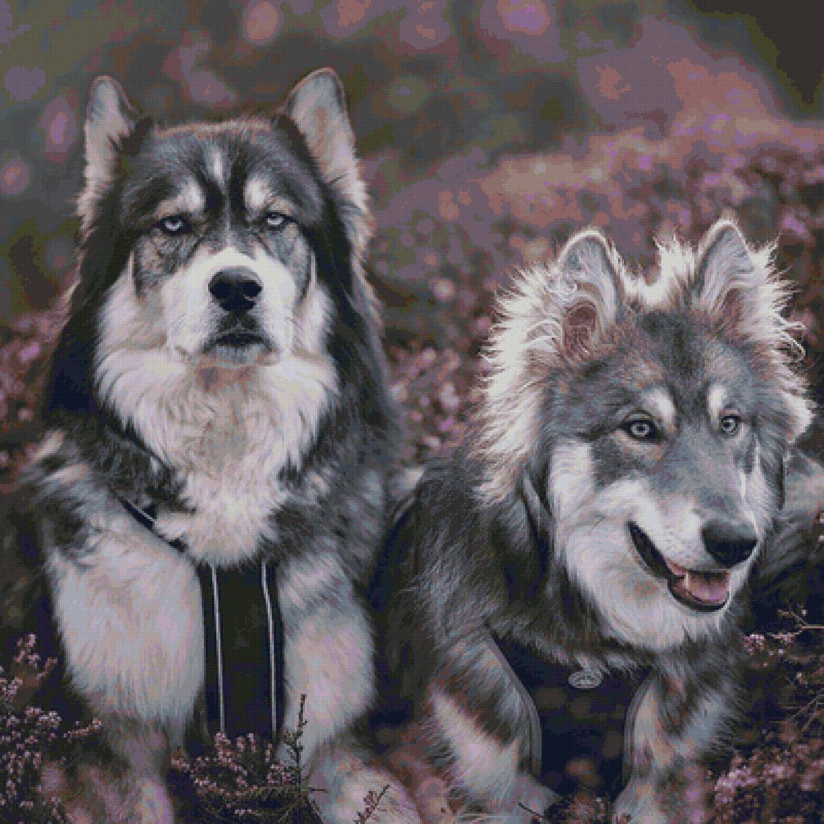 7j86 - собака - предпросмотр