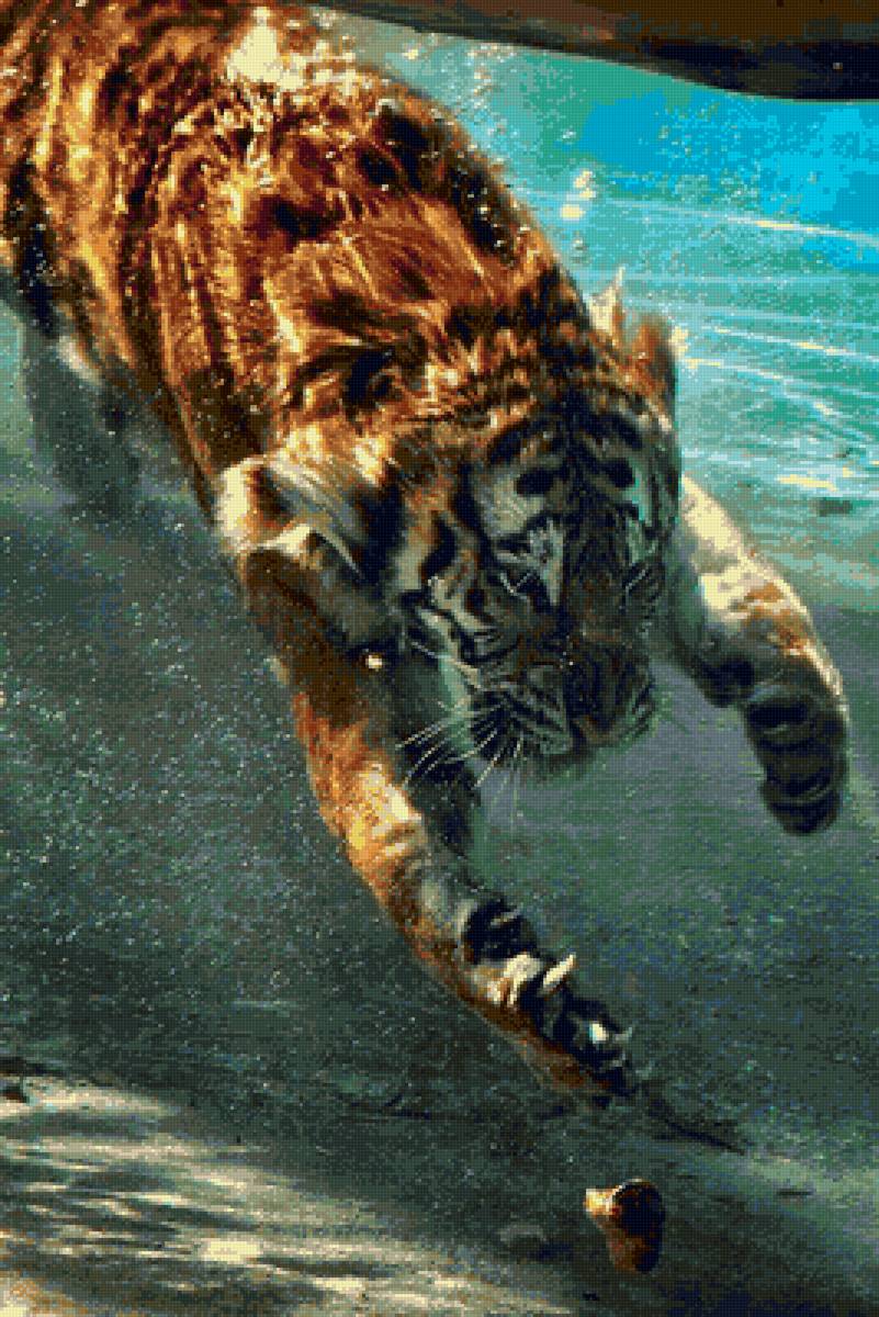 tiger46 - тигр - предпросмотр