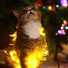 Схема вышивки «3yj2sx»