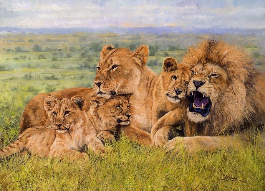 Львиная семья - львы, семья, дикие животные - оригинал