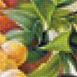 Предпросмотр схемы вышивки «какаду и фрукты» (№1750706)