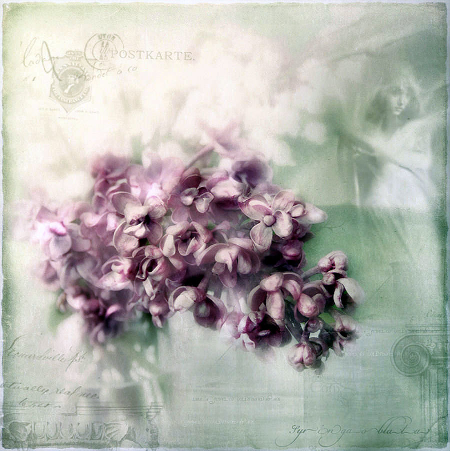 букет - бкукет - оригинал