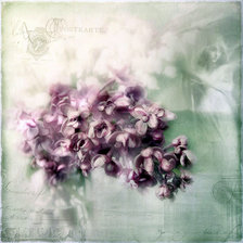 Схема вышивки «букет»