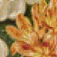 Предпросмотр схемы вышивки «kvety» (№1750984)