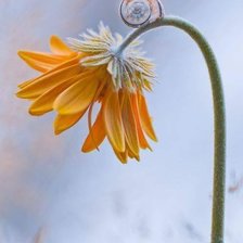 Схема вышивки «№1751187»