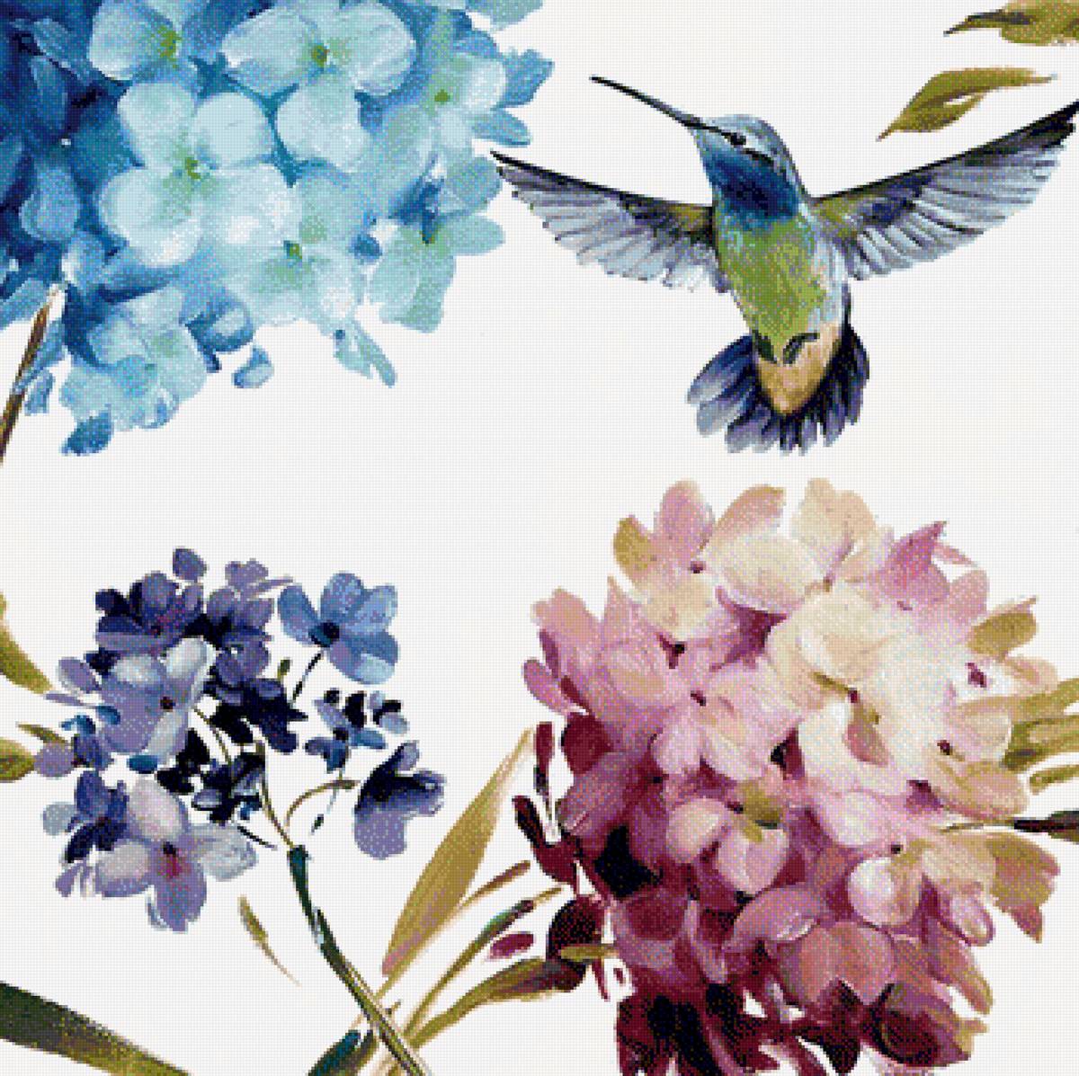 Hummingbird 2 - предпросмотр