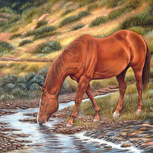 Лошадь в овраге