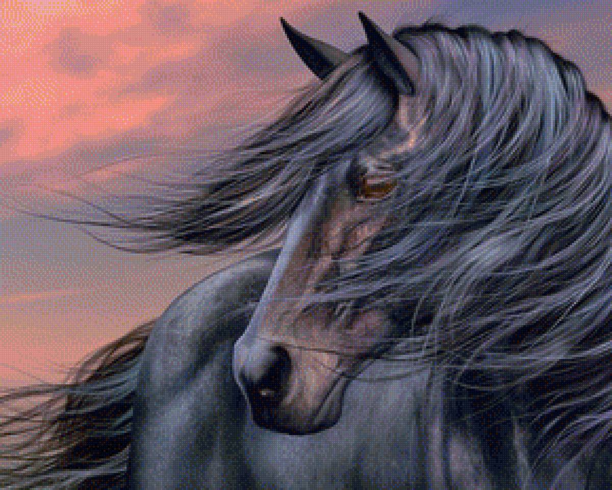 Вороной - животные, конь, лошади - предпросмотр