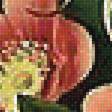 Предпросмотр схемы вышивки «шиповник» (№1751555)