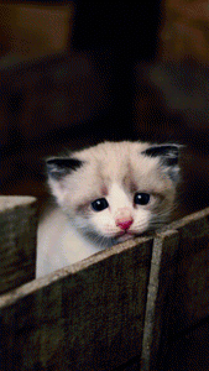 №1751622 - животное - предпросмотр