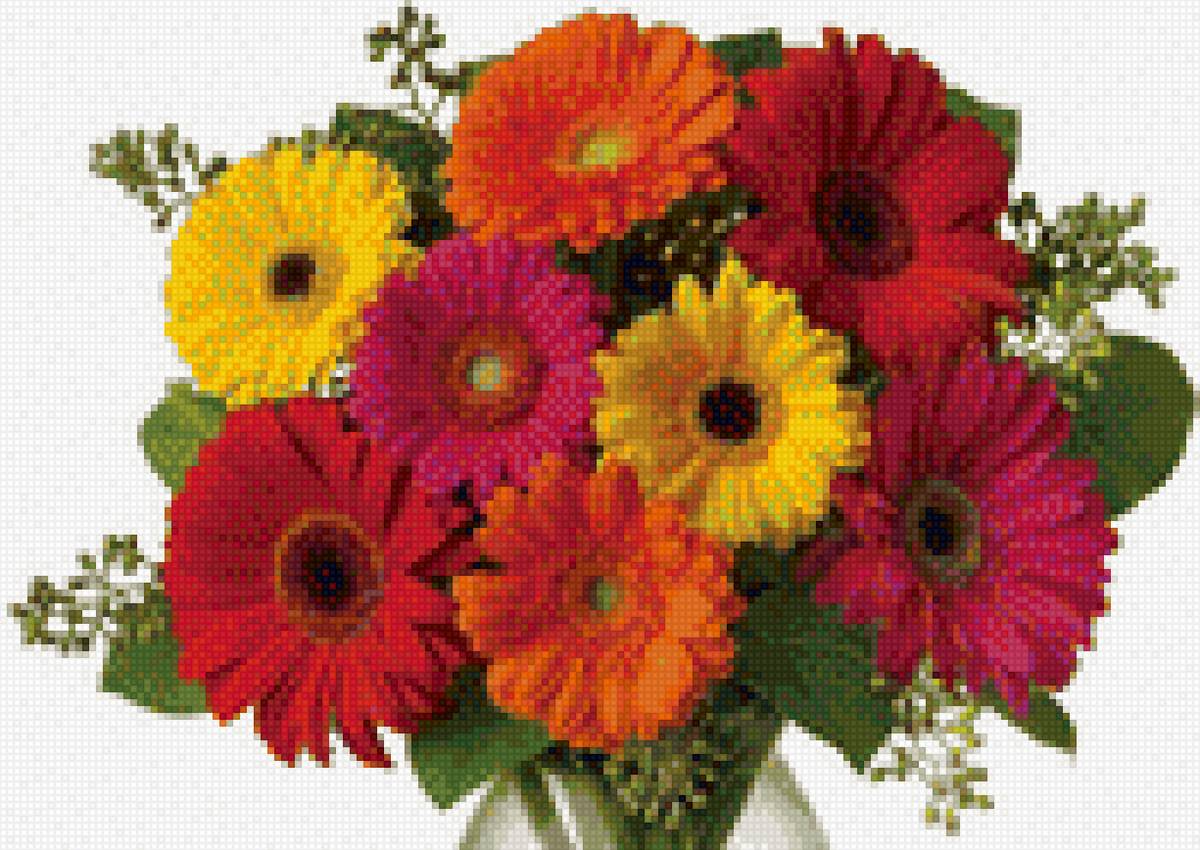 герберы - предпросмотр