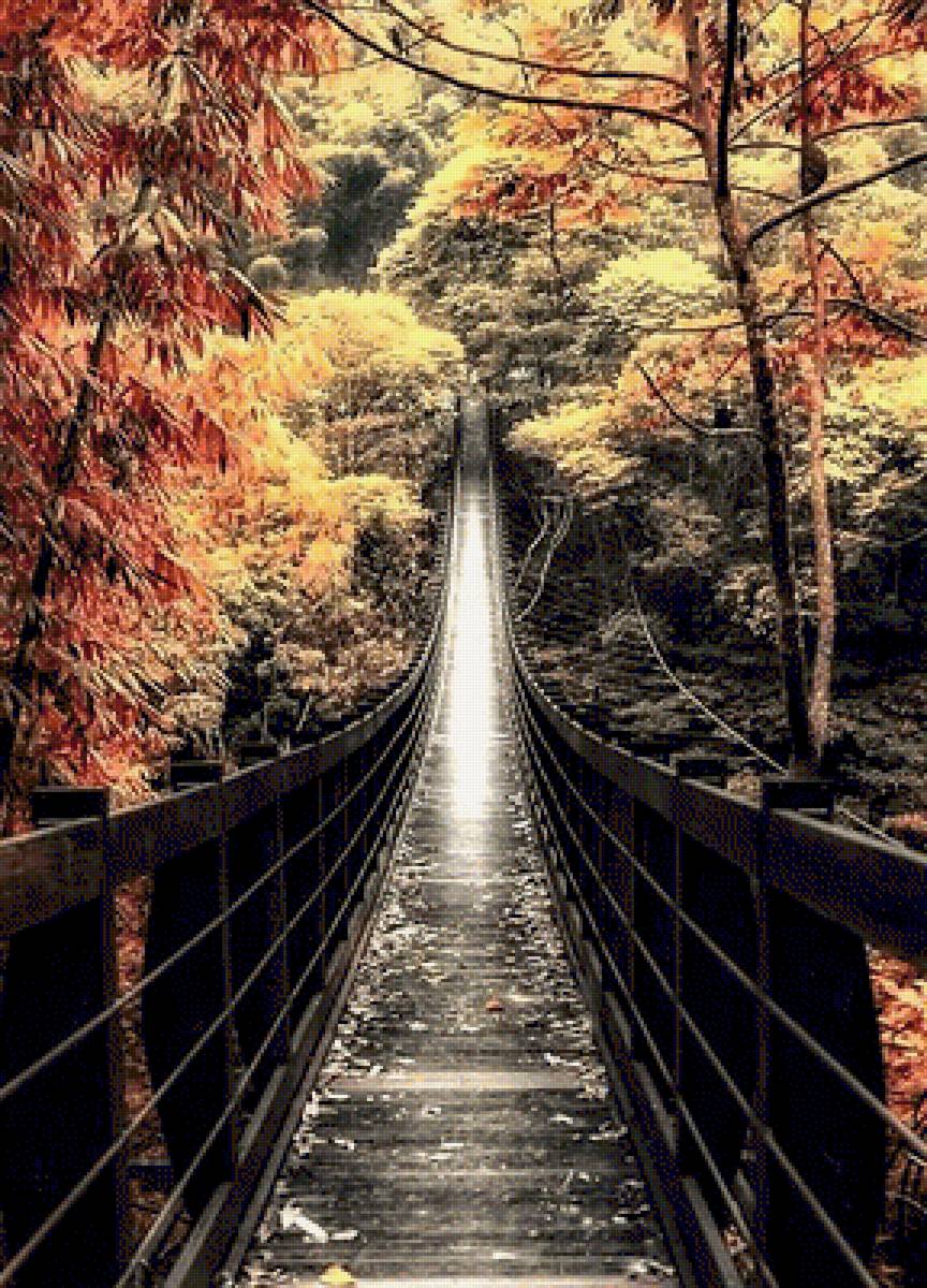 Autumn forest - предпросмотр