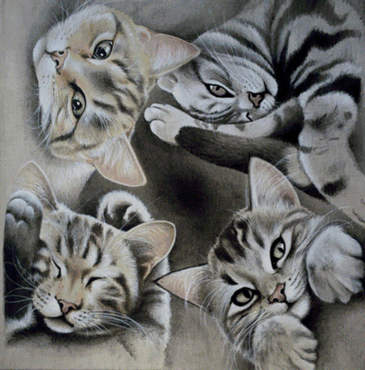 Котики - коты, животные - предпросмотр