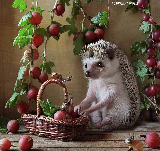 459810 - оригинал