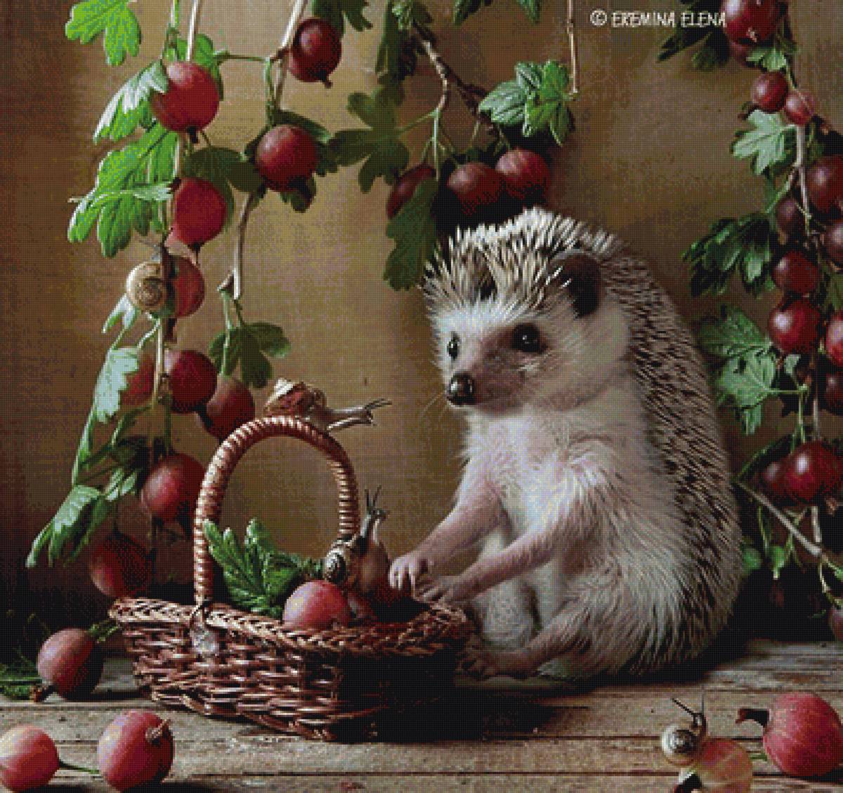 459810 - предпросмотр