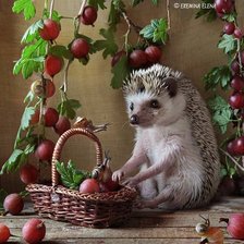 Схема вышивки «459810»